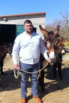 Burro Mirandês, o animal dócil e inteligente que está em vias de extinção. Pai e filho são criadores da raça